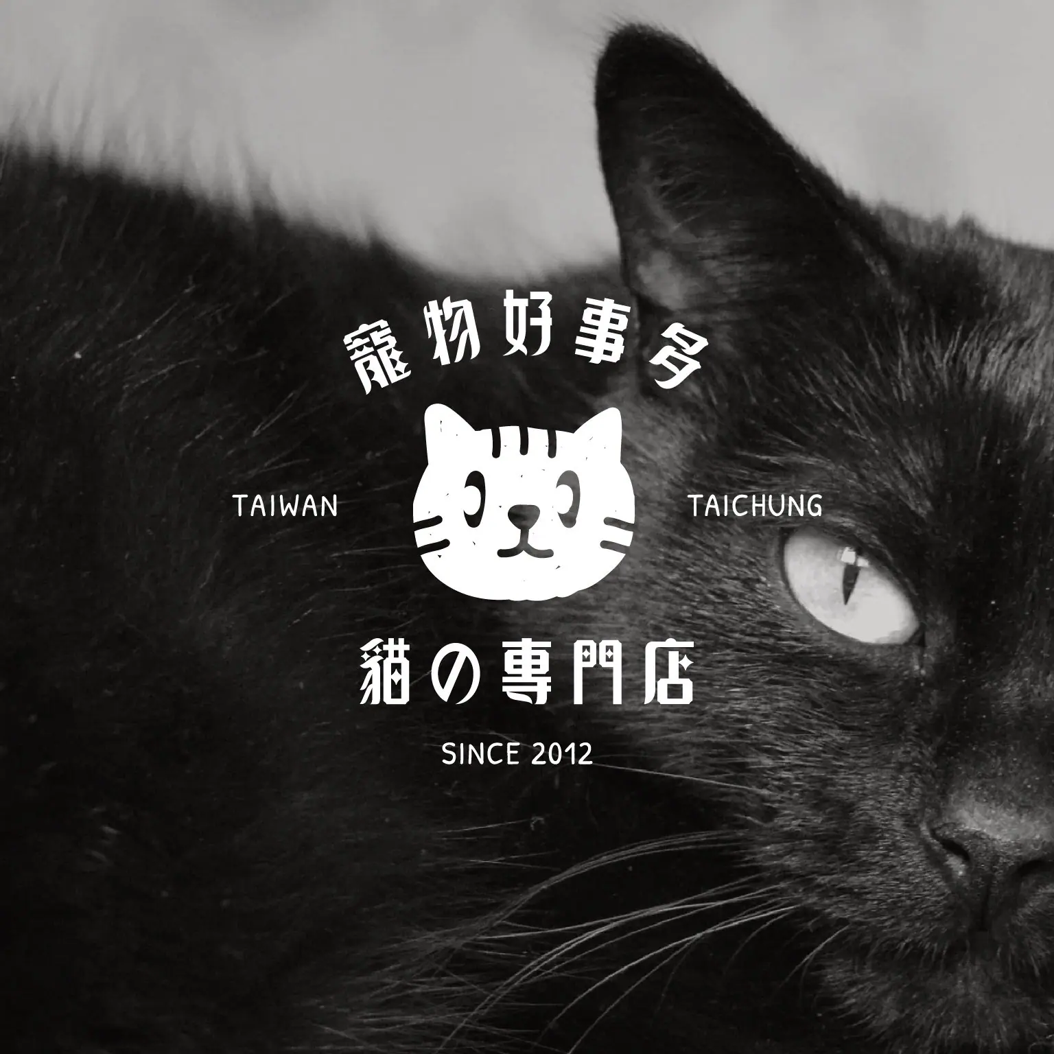品牌設計的長遠價值:好設計不怕時間考驗 | 寵物好事 品牌識別主視覺|好心地文創