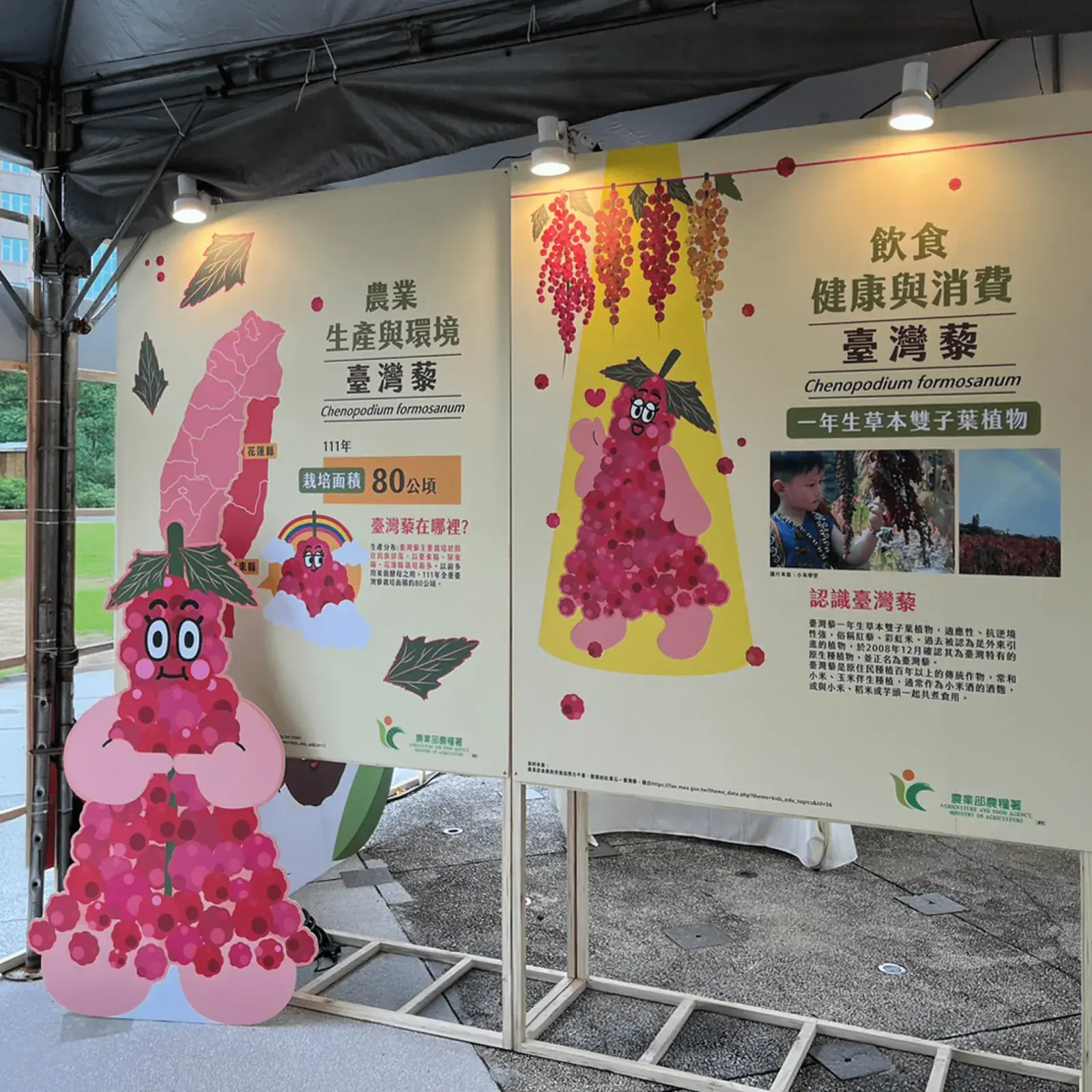 農業部 食物原理特展現場 4
