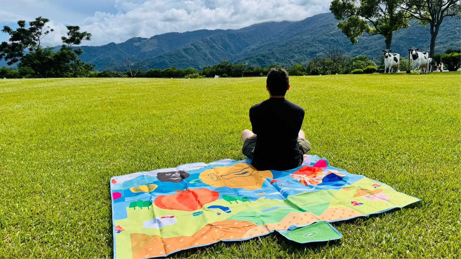 饗嚮台東鹿野熱氣球野餐墊收合折疊實拍,草地與藍天背景