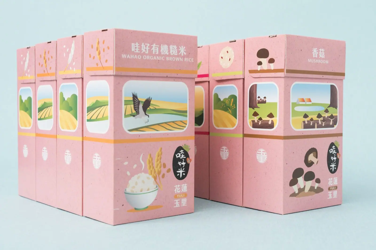 花蓮哇好米禮盒開箱實拍,多款單品小盒與提袋插畫設計陳列