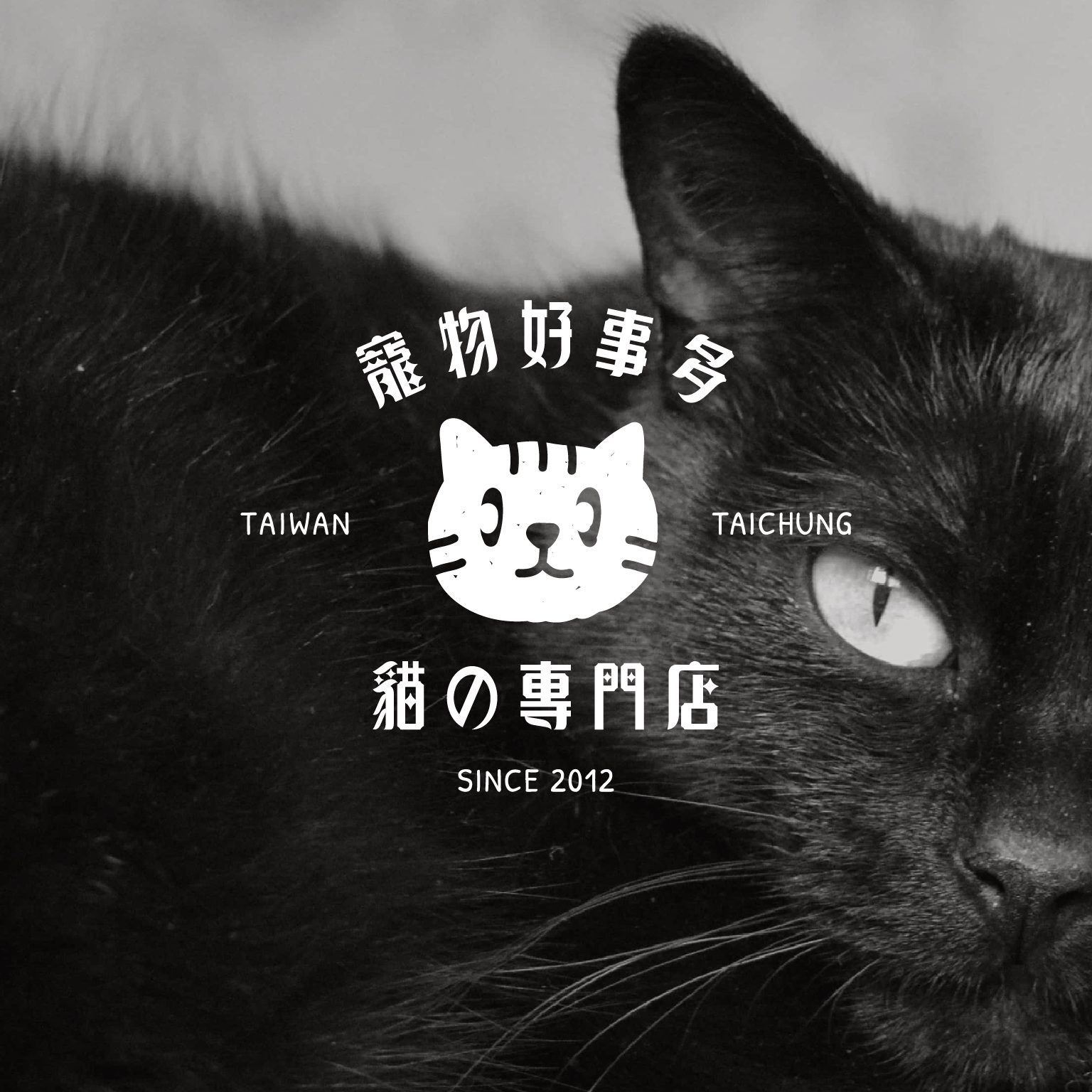 品牌設計的長遠價值：好設計不怕時間考驗 | 寵物好事 品牌識別主視覺｜好心地文創