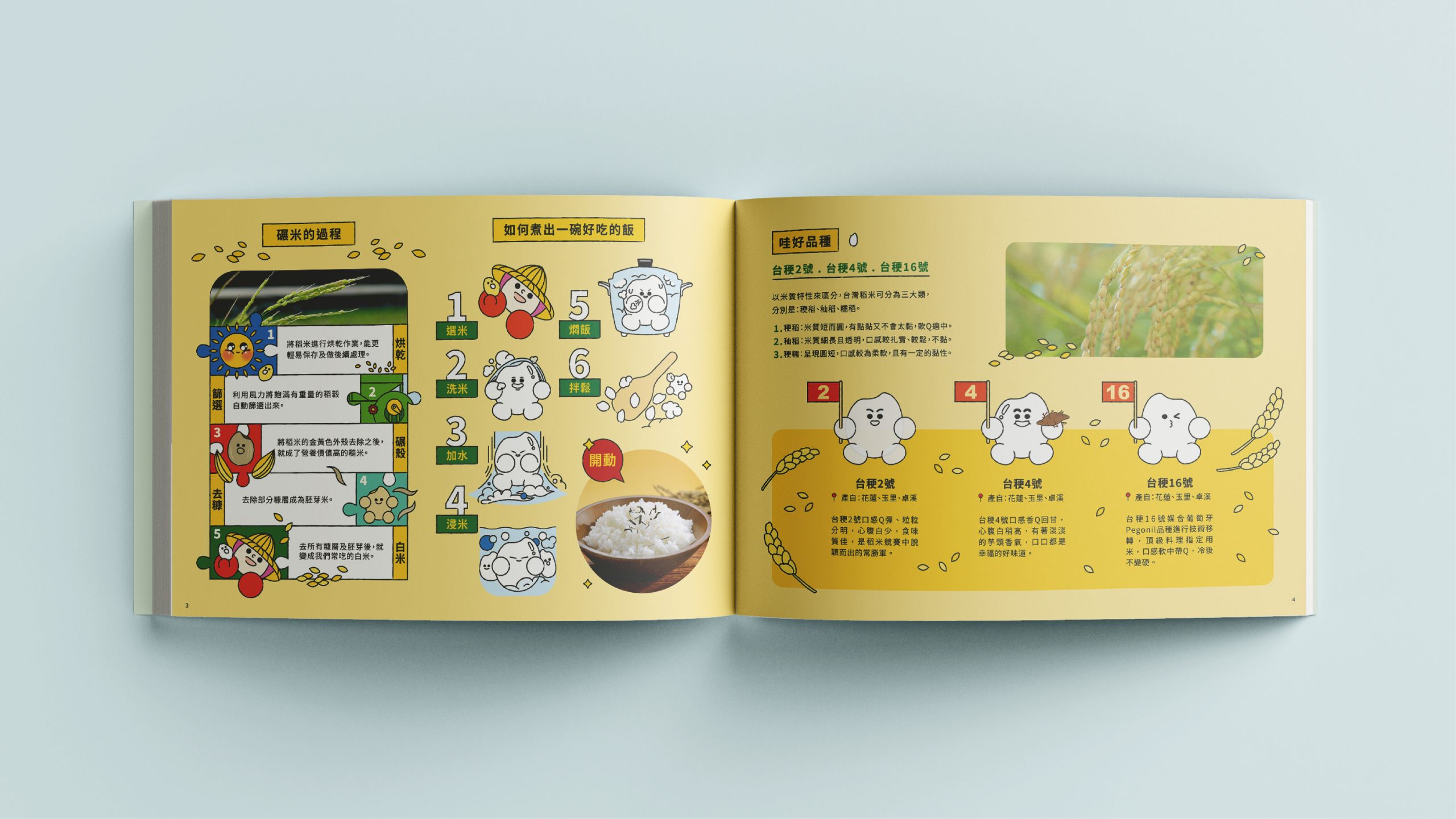 花蓮哇好米型錄內頁:碾米過程與煮飯步驟食農教育插畫|好心地文創