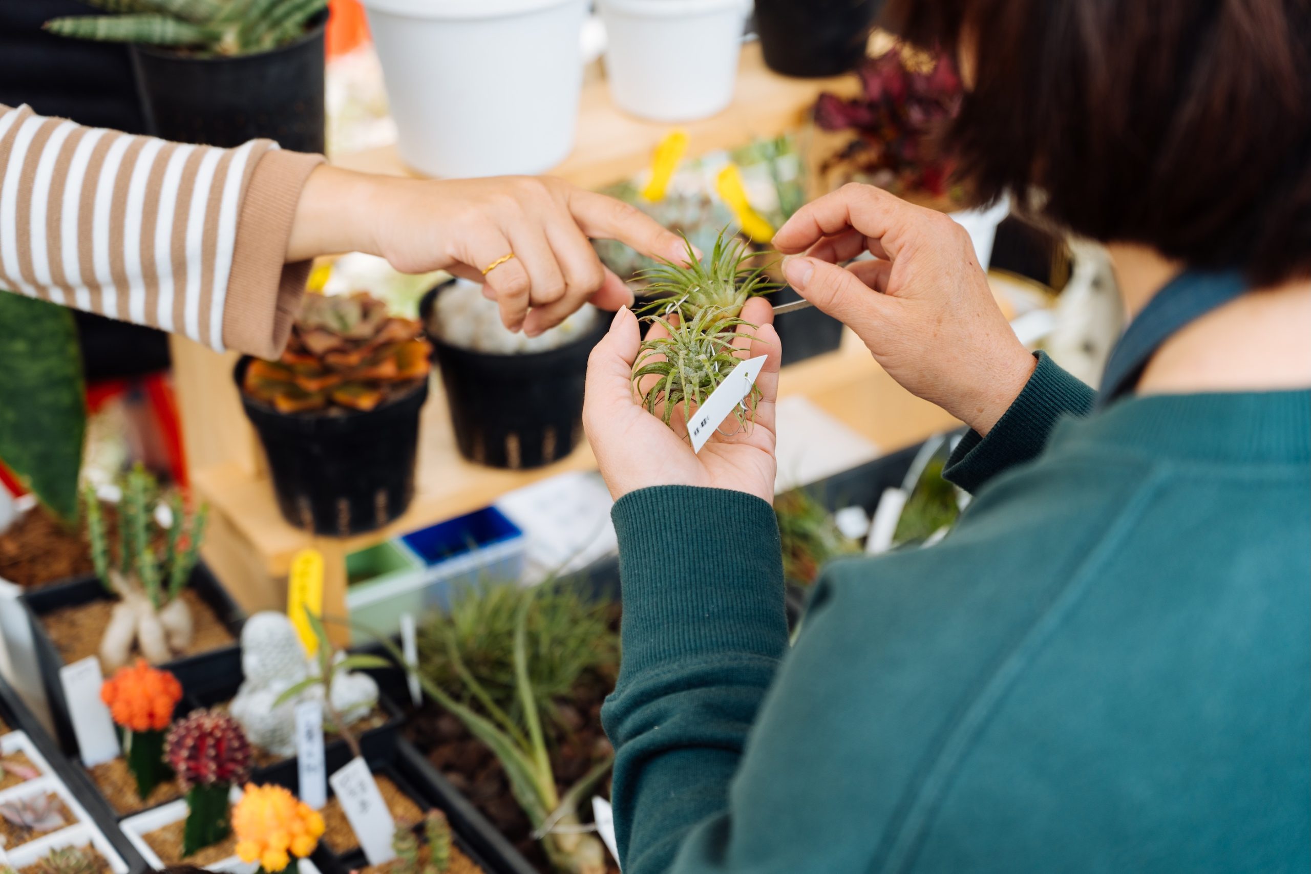 你的商品值得被看見！市集攤位佈置進階班：層次、光影、道具這樣用