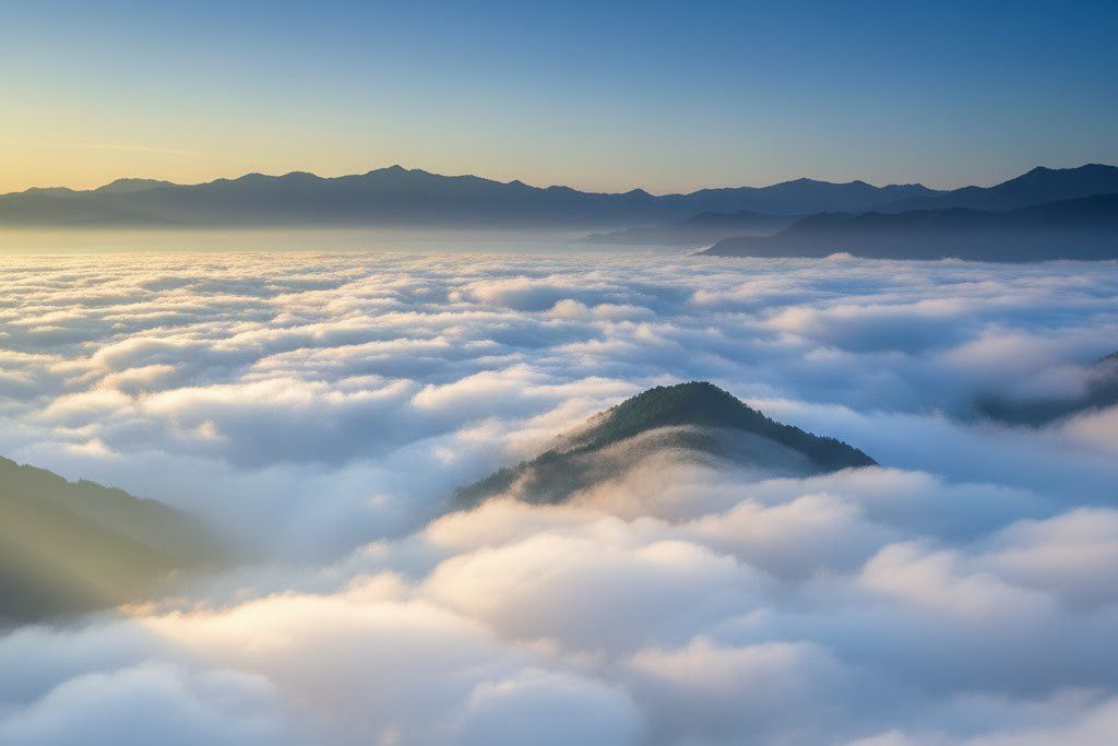觀霧森林遊樂區全攻略:交通路況、住宿預約、聖稜線日出與檜山巨木群深度遊