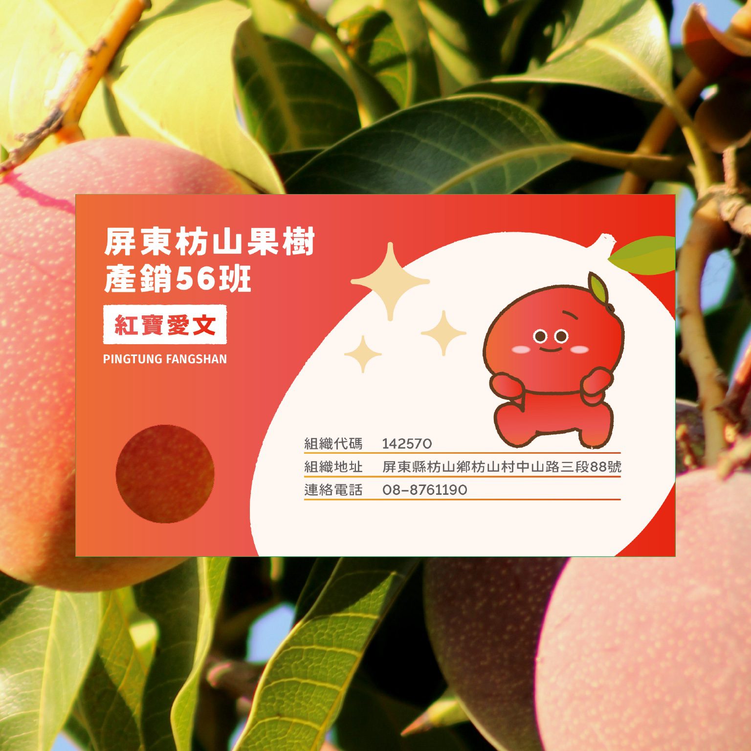 紅寶愛文品牌小卡正面，芒果樹葉背景情境照｜好心地文創