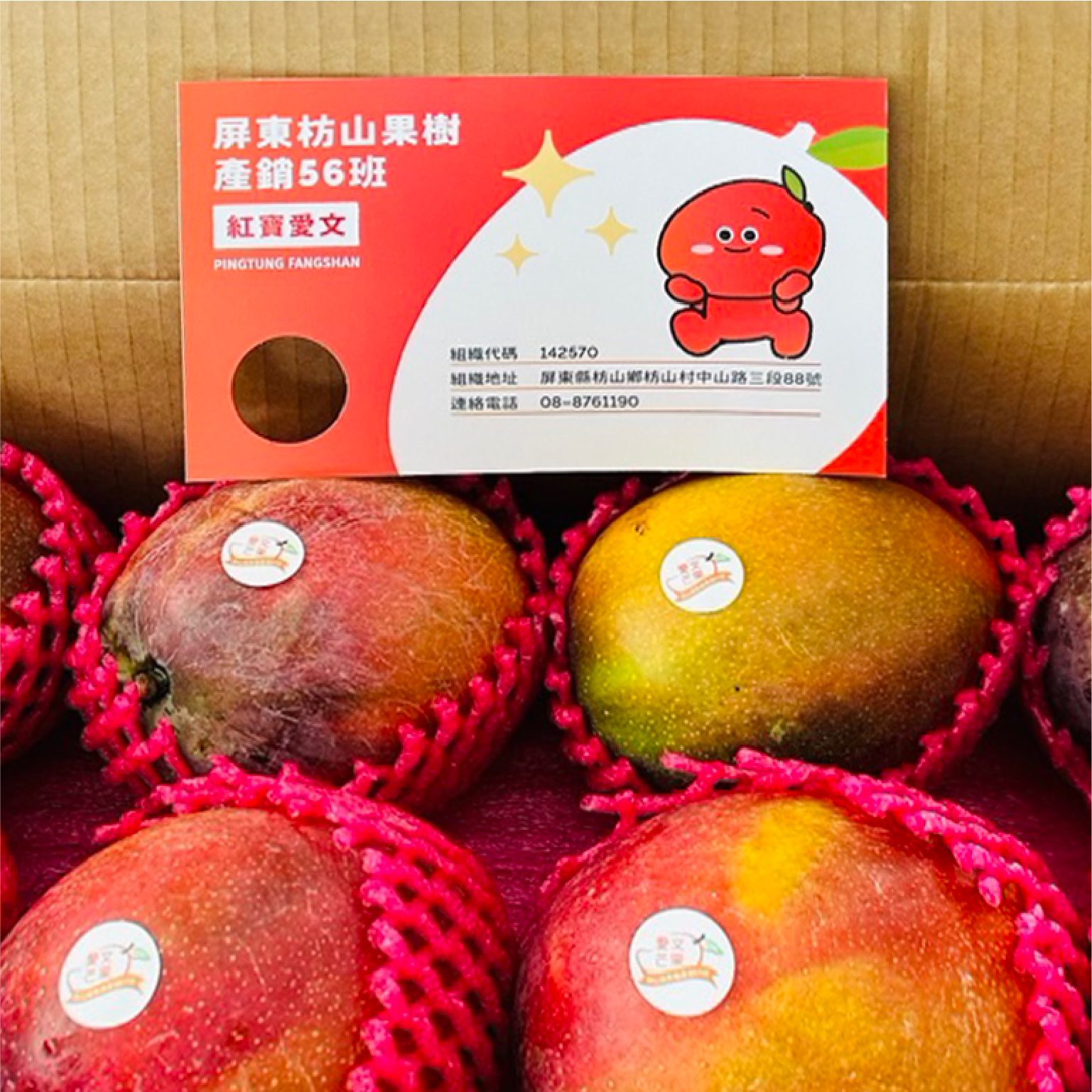 紅寶愛文小卡與芒果特寫情境示意圖