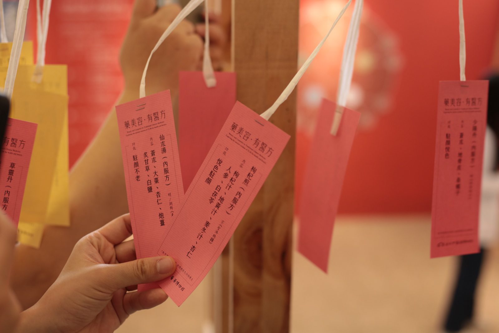 觀眾手持中醫藥美容展互動籤紙近拍,仙朮湯枸杞煎藥方卡