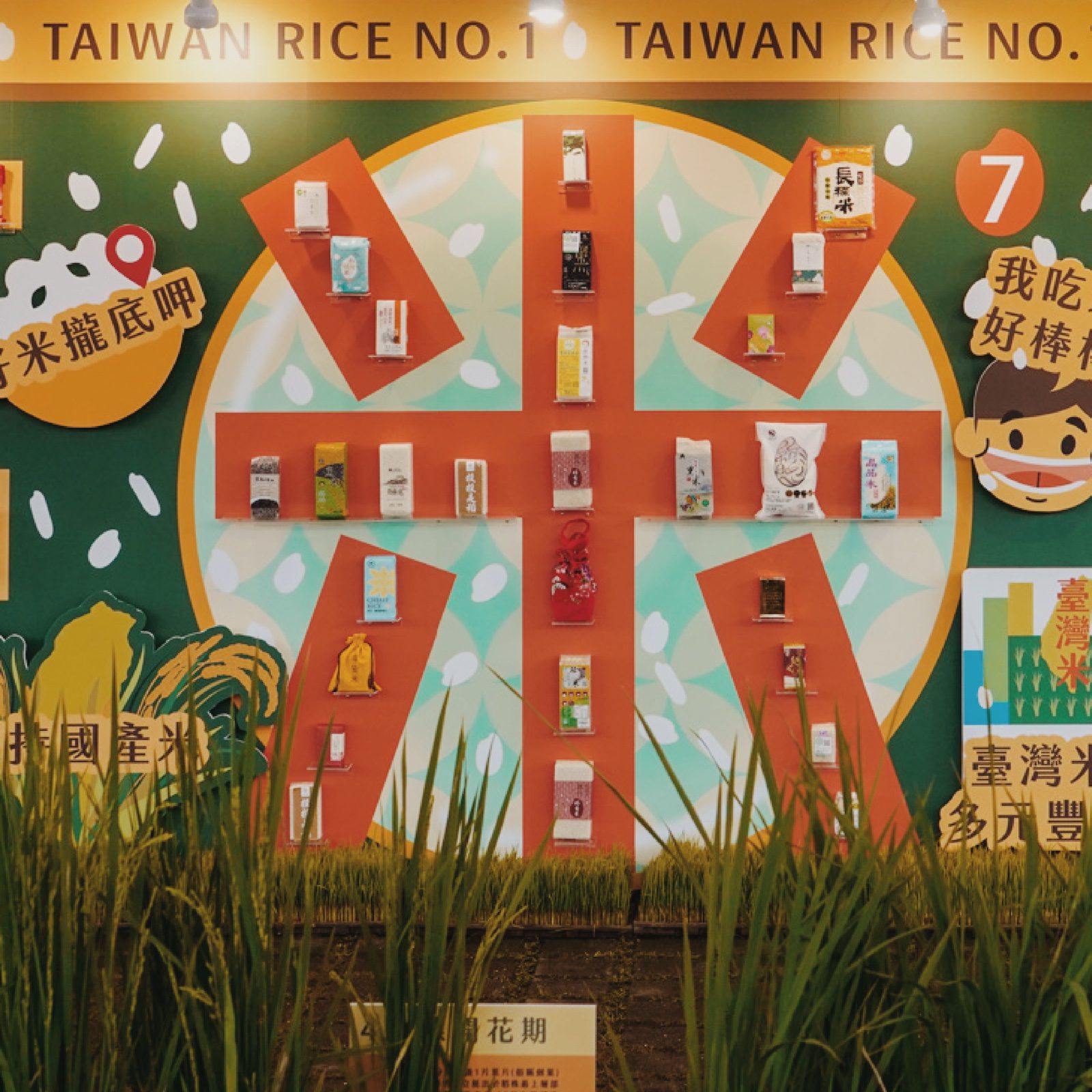 「台灣米No.1」牆面展示，各式包裝國產米商品陳列成米字造型