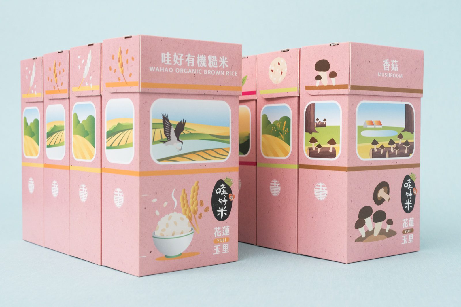 花蓮哇好米禮盒開箱實拍,多款單品小盒與提袋插畫設計陳列
