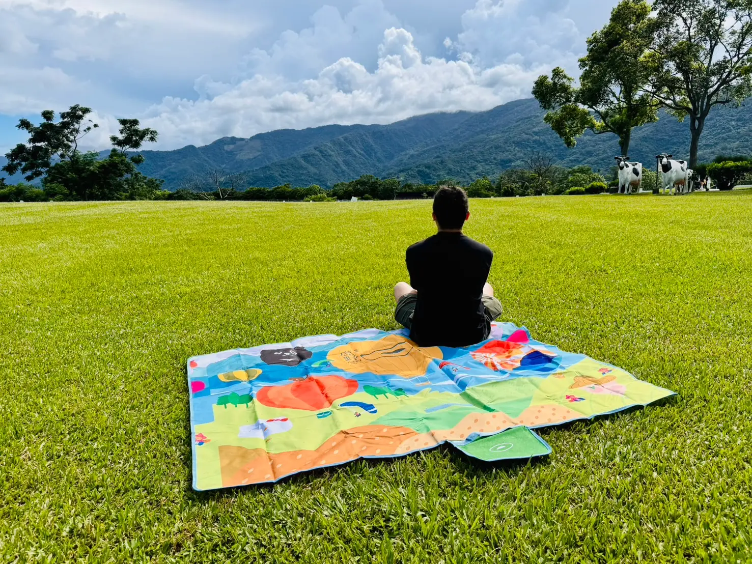 2025台東熱氣球嘉年華完全攻略:時間、地點、活動以及野餐注意事項