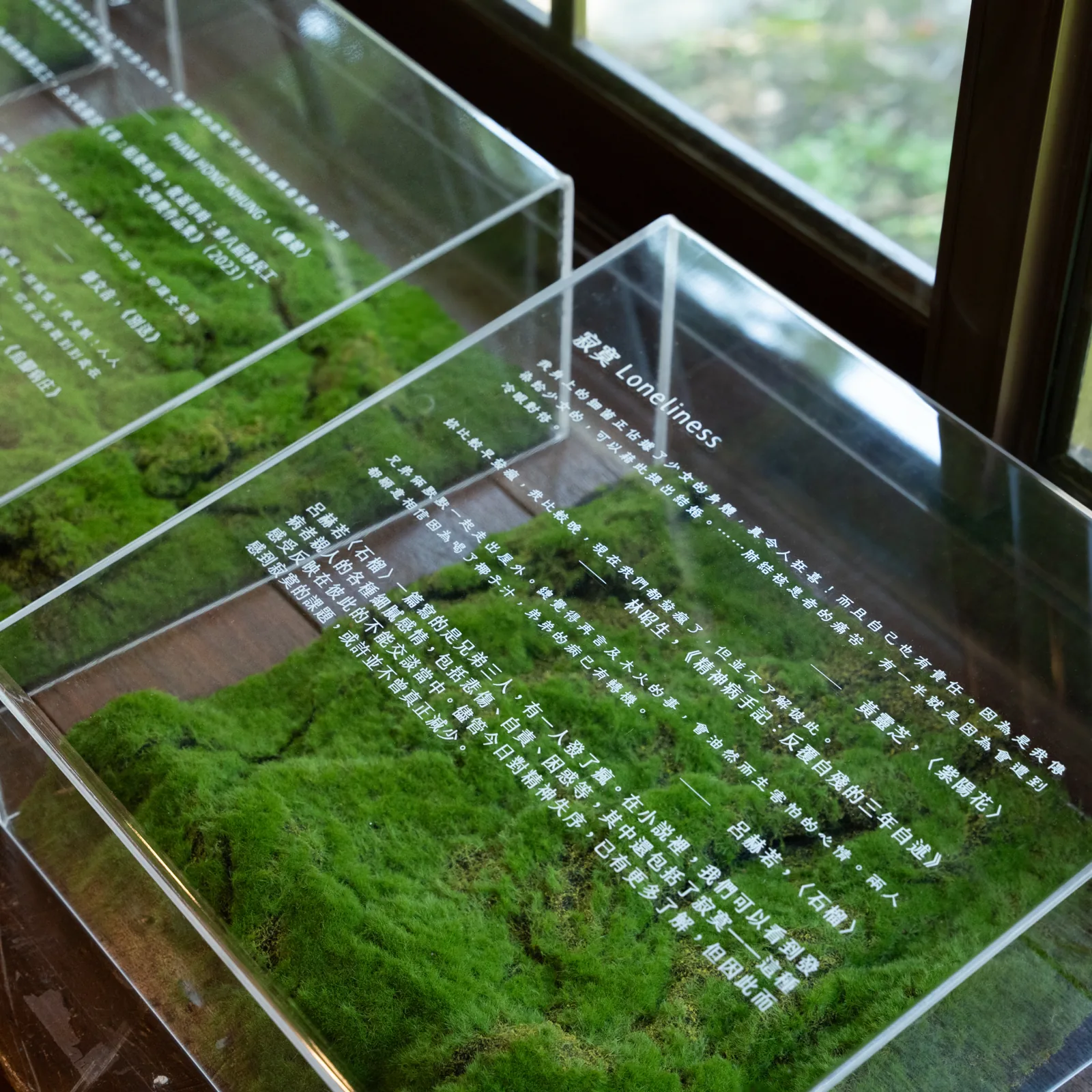 國立臺灣文學館 海馬打點滴文學療癒特展現場 4