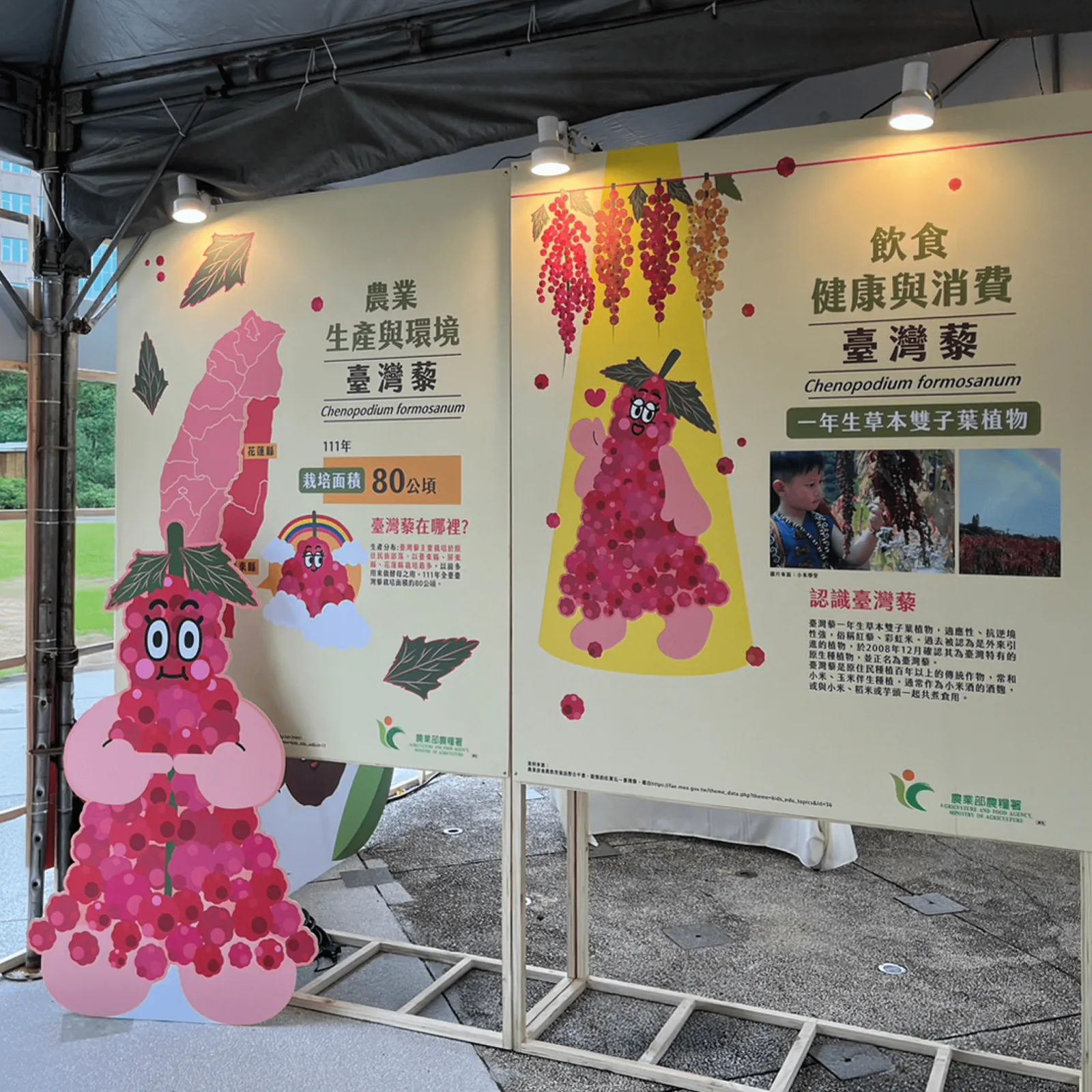 農業部 食物原理特展現場 4